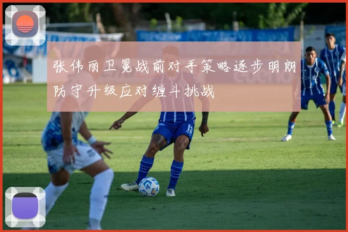 张伟丽卫冕战前对手策略逐步明朗防守升级应对缠斗挑战